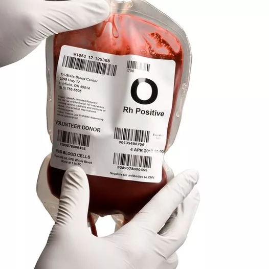 Zebra 8000T Primary Blood Bag Thermal Transfer Polyethylene Labels 105mm x 105mm - 3013623
